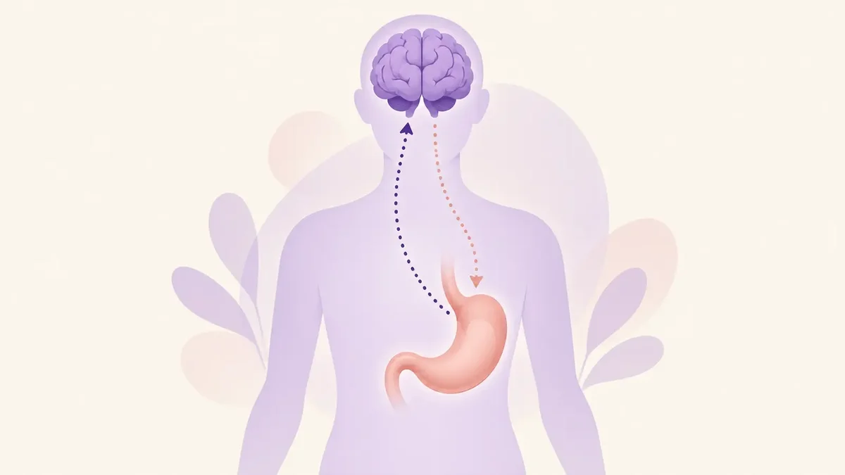 Illustration of appetite signals between the brain and digestive system